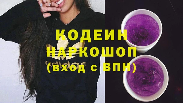 Альфа ПВП Верея