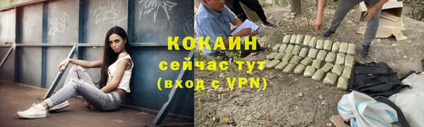 Альфа ПВП Верея