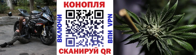 Бошки Шишки конопля где купить наркоту Киреевск
